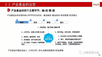 產(chǎn)業(yè)基金全過(guò)程運(yùn)作 構(gòu)建、投資、投后管理與風(fēng)險(xiǎn)控制解析